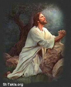    (   ) -    Www-st-takla-org___jesus-praying-in-gethsemane-garden-10
